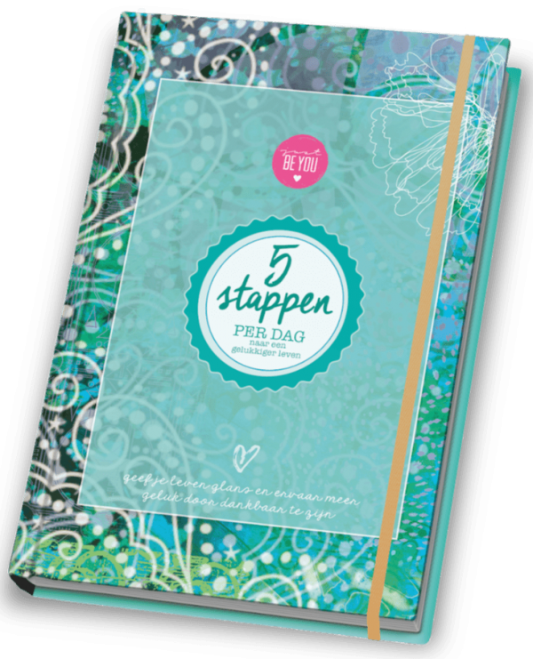 Cover 5 stappen Just Be You II
