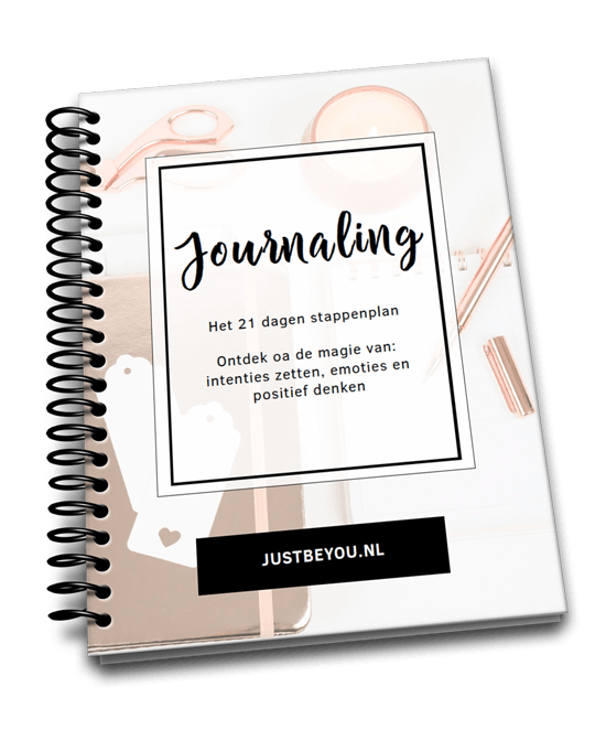 Werkboek Dagboek (journaling) schrijven