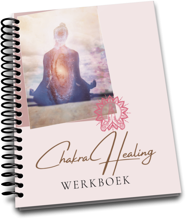 Chakra Healing Werkboek Just Be You