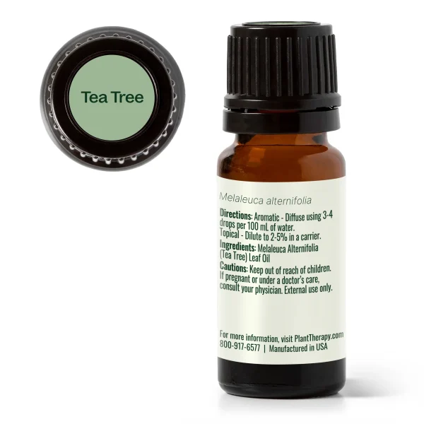 Tea Tree Essentiële Olie - Plant Therapy - 10ml - Afbeelding 3